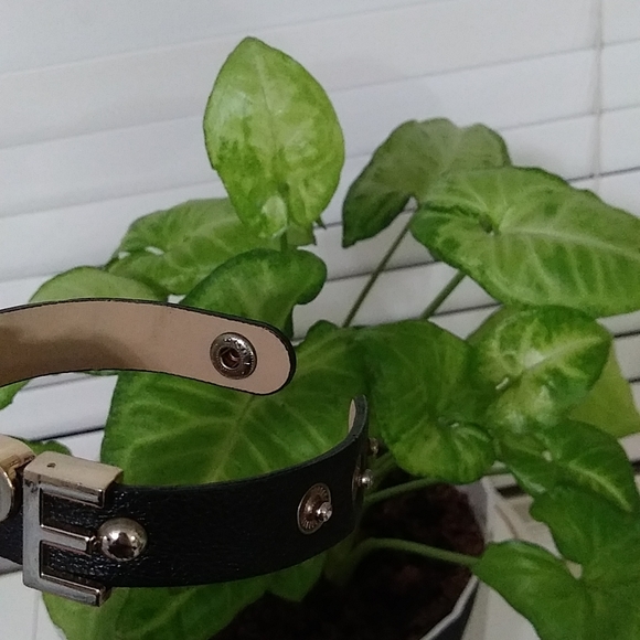 Ladies Fashion Hope Watch - Picture 8 of 12